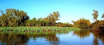 kakadu NP