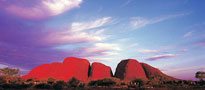 Olgas